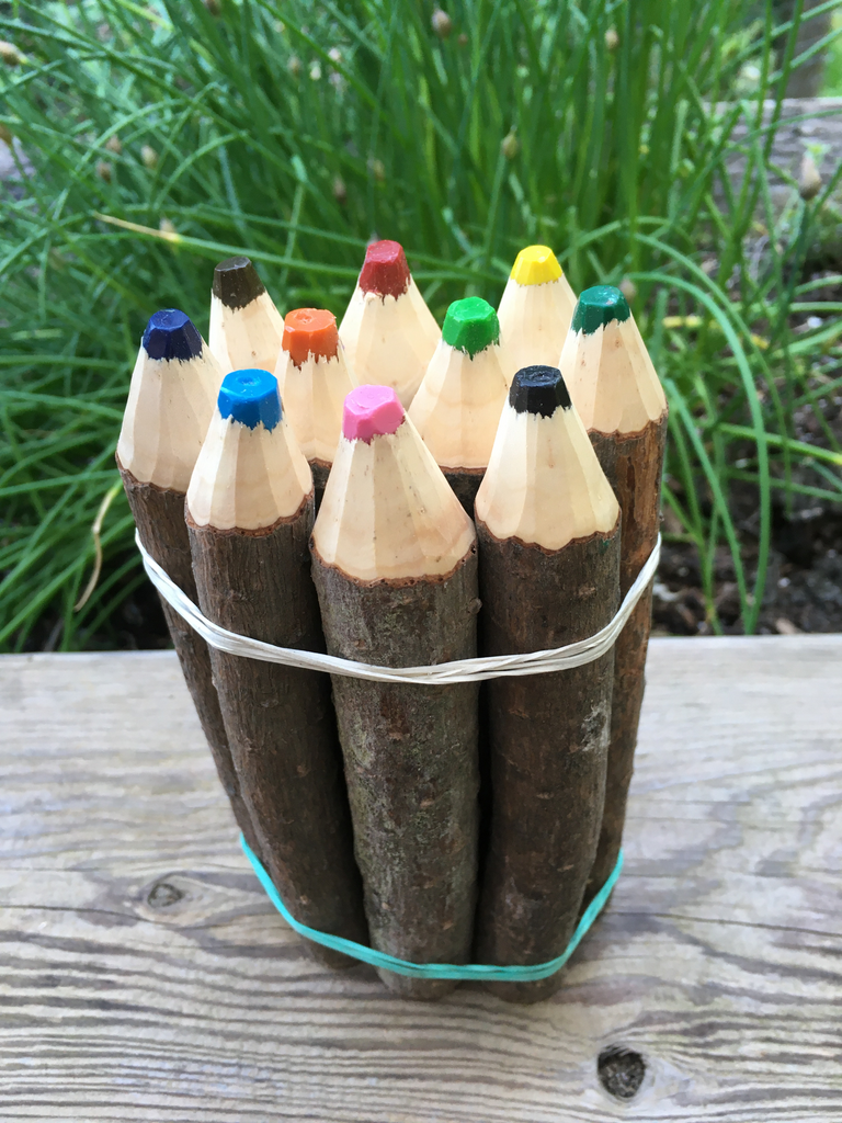 Pine Crayons